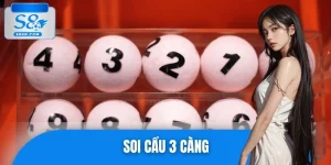 Soi Cầu 3 Càng Chuẩn Xác – Bí Kíp Từ Các Cao Thủ Lô Đề S8